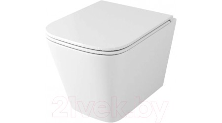 Унитаз подвесной OWL 1975 Vatter Ruta-H Mini OWLT190403S (с сиденьем DP микролифт)