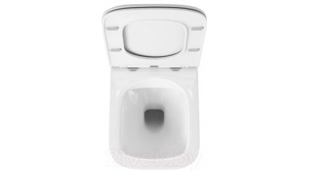 Унитаз подвесной OWL 1975 Vatter Ruta-H Mini OWLT190403S (с сиденьем DP микролифт)