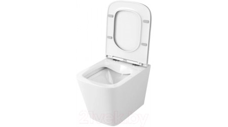 Унитаз подвесной OWL 1975 Vatter Ruta-H Mini OWLT190403S (с сиденьем DP микролифт)