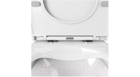 Унитаз подвесной OWL 1975 Vatter Ruta-H Mini OWLT190403S (с сиденьем DP микролифт)