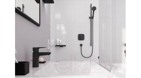 Душевой гарнитур Hansgrohe Vernis Blend 26422670