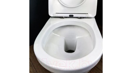 Унитаз подвесной Teymi Vitra Pro / T40806 (с сиденьем)