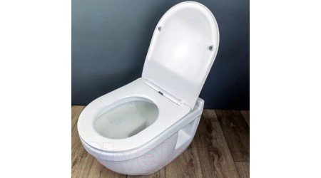 Унитаз подвесной Teymi Vitra Pro / T40806 (с сиденьем)