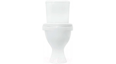 Унитаз напольный Sanita Luxe Формат WC.CC/Format/1-P/WHT.G/S1 (с сиденьем)