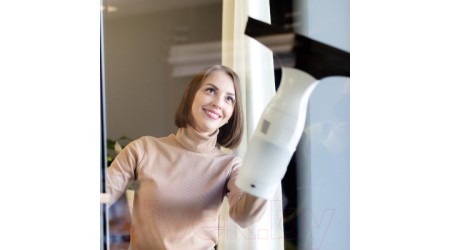 Стеклоочиститель Evolution wClean WC1235