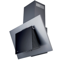 Вытяжка декоративная Akpo WK-4 Nero Eco 50 (серый/черное стекло)