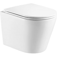Унитаз подвесной WeltWasser WW Salzbach 041 GL-WT (белый глянец)