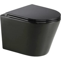 Унитаз подвесной WeltWasser WW Salzbach 041 MT-BL (черный матовый)