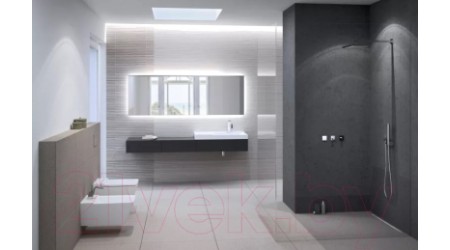 Унитаз подвесной Geberit Xeno2 500.500.01.1